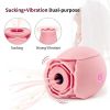 Discreet 10 Speed Personal Massage Rose Vibrator sucking Massager for Women